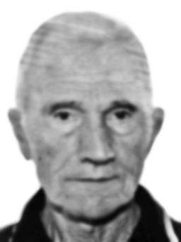 VELJKO Ilijin MILOVIĆ