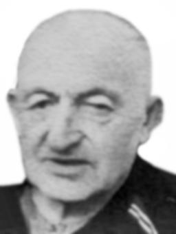 BUDIMIR Arsenijev KASALICA