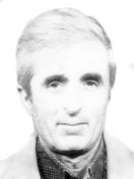 VOJA PEROVIĆ