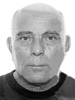 VITOMIR Živojina CVETKOVIĆ