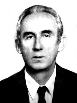 RAJKO NIŠAVIĆ