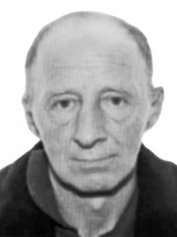 JOVAN MADŽGALJ