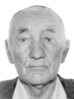 VASILJ Novičin BAĆOVIĆ