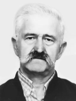 Jovan Maksima Jelić