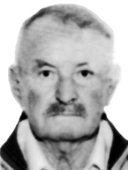 BOŽIDAR-BOŽO Nikole DOBRKOVIĆ