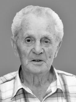 SVETOZAR LAKIĆEVIĆ
