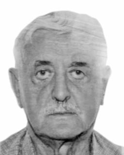 MILIJA Milovanov LEKIĆ