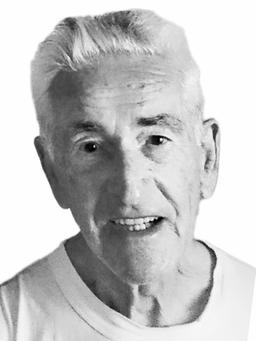 LJUBOMIR Bogićev ĐUKIĆ