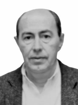 VOJISLAVA DELIĆA