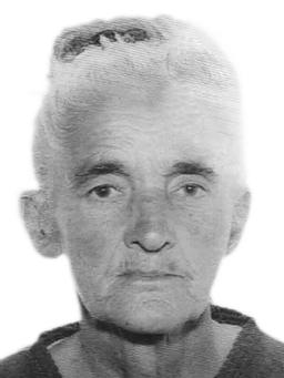 JELENA Andrije JOVOVIĆ