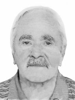 VLADIMIR Špirov MILIĆ