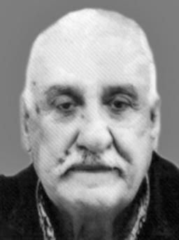 DRAGAN - RAJO MINIĆ