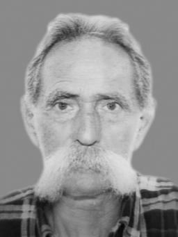 ZLATOMIR Tomislava PUPOVIĆ