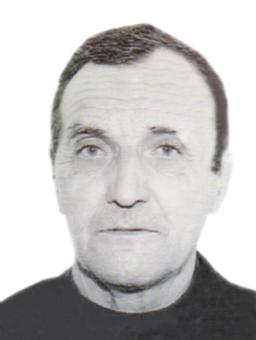 DRAGOMIRA B. PEJANOVIĆA