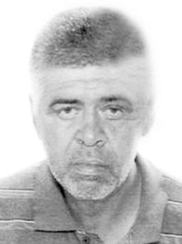 NENAD Vojinov PURLIJA