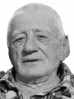 MIŠKO VLAHOVIĆ