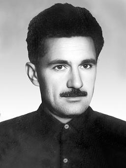 MIODRAG - CULE