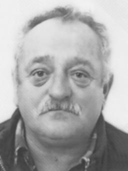 MILOVAN Mihaila TODOROVIĆ