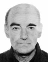 RAJKO BATRIĆEVIĆ