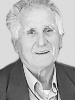 ALEKSA Boškov BRNOVIĆ