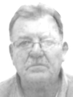 VLADO Petra JOVIĆEVIĆ