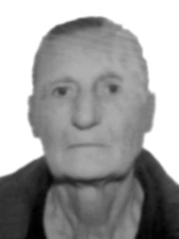 BRANKA Petrova VOJVODIĆ
rođena Đuranović