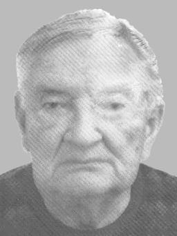 SLOBODAN VUKAJLOVIĆ