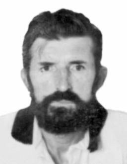 stamenovic zivota