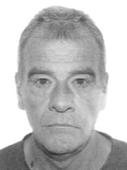 stanjevic slobodan