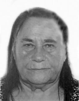 drakic darinka