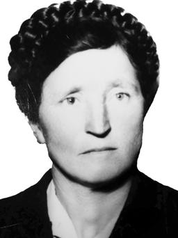 scekic draginja