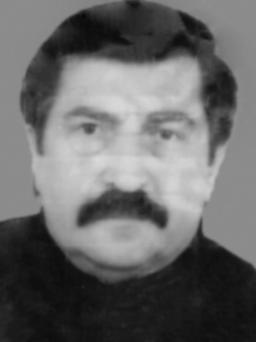 GOLUBU - MIDU - Nikolinom KOSTIĆU