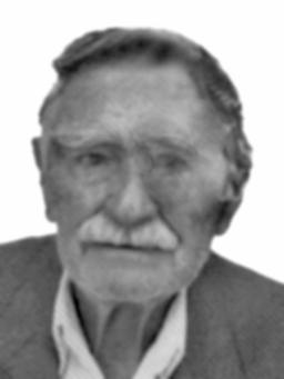 DRAGOLJUB-DRAGO Milovana DUJOVIĆ