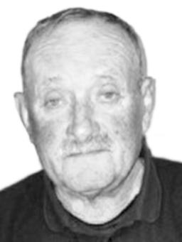 vujadin gvozdenović