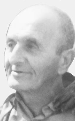 MILIĆA VUKIĆEVIĆA