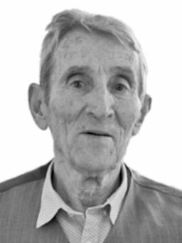 RADOSAV Lukin VUJOVIĆ