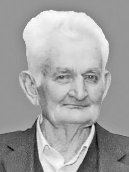 VOJISLAV KALPAČINA