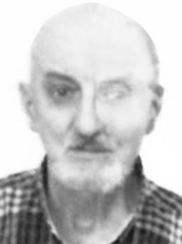 NEŠO Vasilija ZLATIČANIN