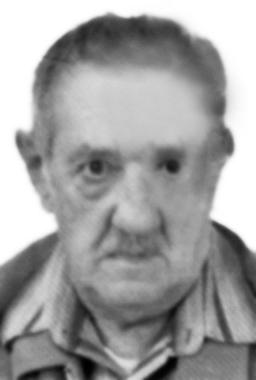 Čokorilo V. Dragoljub