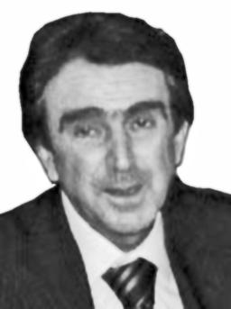gosovic radovan