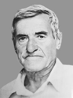 SLOBODAN Milisava STEVOVIĆ