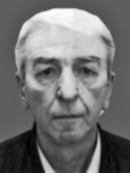 BOŽIDAR Veljkov RAŽNATOVIĆ