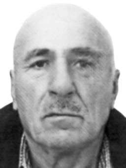 kandic zarija