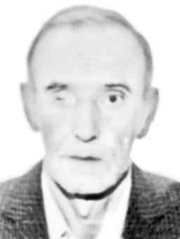 NENAD M. DANILOVIĆ