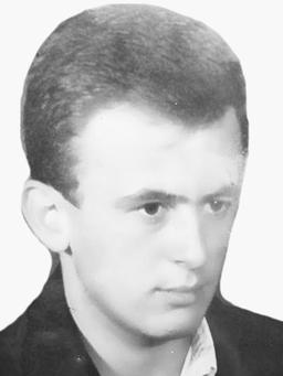 Mirko Vilotijevic