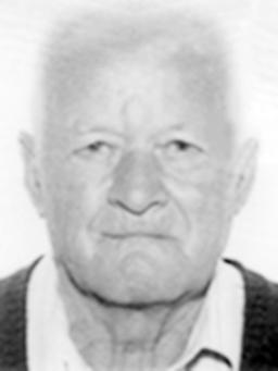 MILAN Stevov ZAILAC