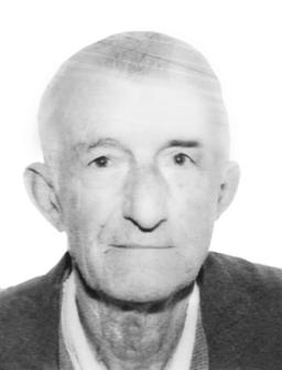 RADIVOJE Akimov ĆORIĆ