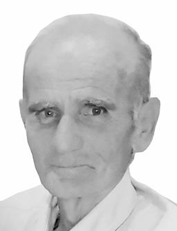 RADOICI KARADŽIĆU