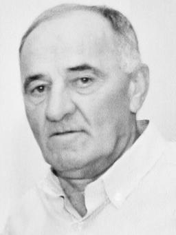 DRAGAN D. VOJINOVIĆ