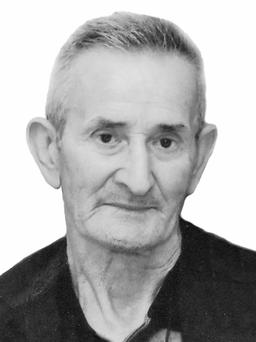 VLADISLAVA - VLADA  SEKULOVIĆA